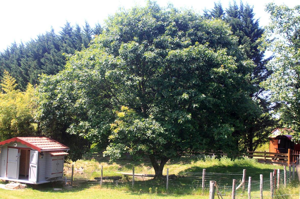 Tente Trappeur Ada, Au Jardin De La Vouivre Saint-Vincent-en-Bresse Esterno foto