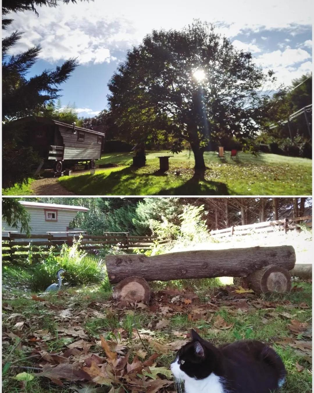 Tente Trappeur Ada, Au Jardin De La Vouivre Saint-Vincent-en-Bresse Esterno foto