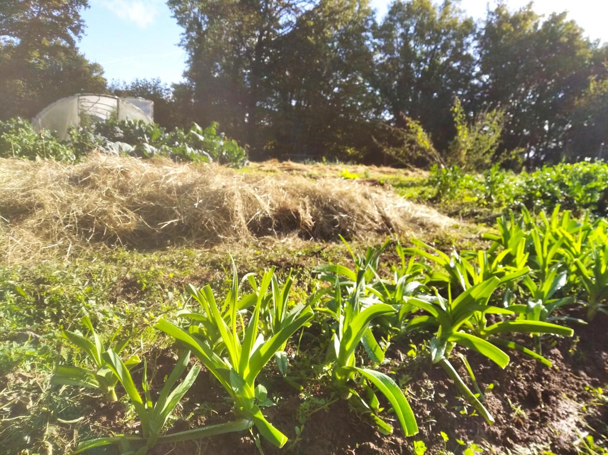Tente Trappeur Ada, Au Jardin De La Vouivre Saint-Vincent-en-Bresse Esterno foto