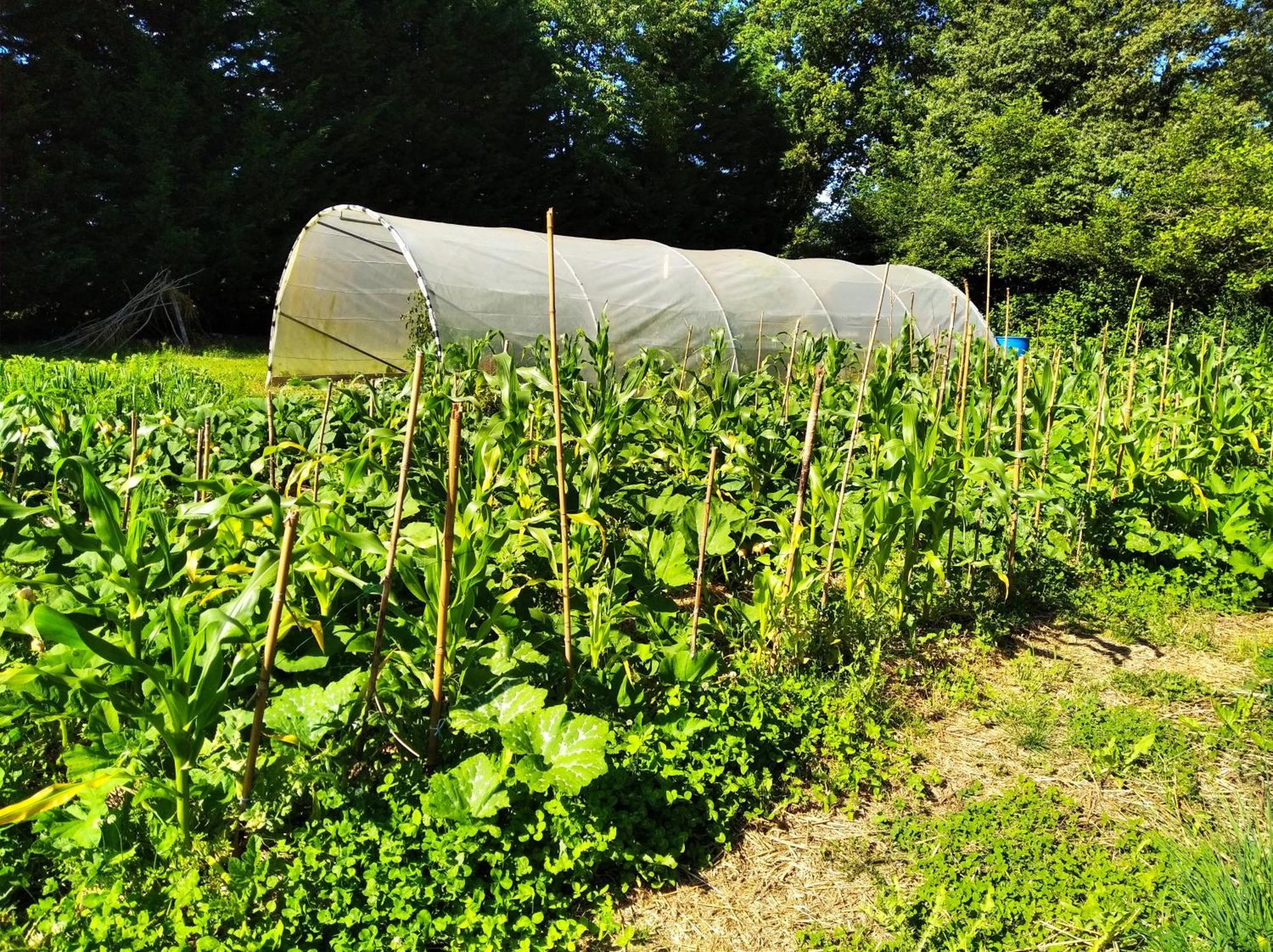 Tente Trappeur Ada, Au Jardin De La Vouivre Saint-Vincent-en-Bresse Esterno foto