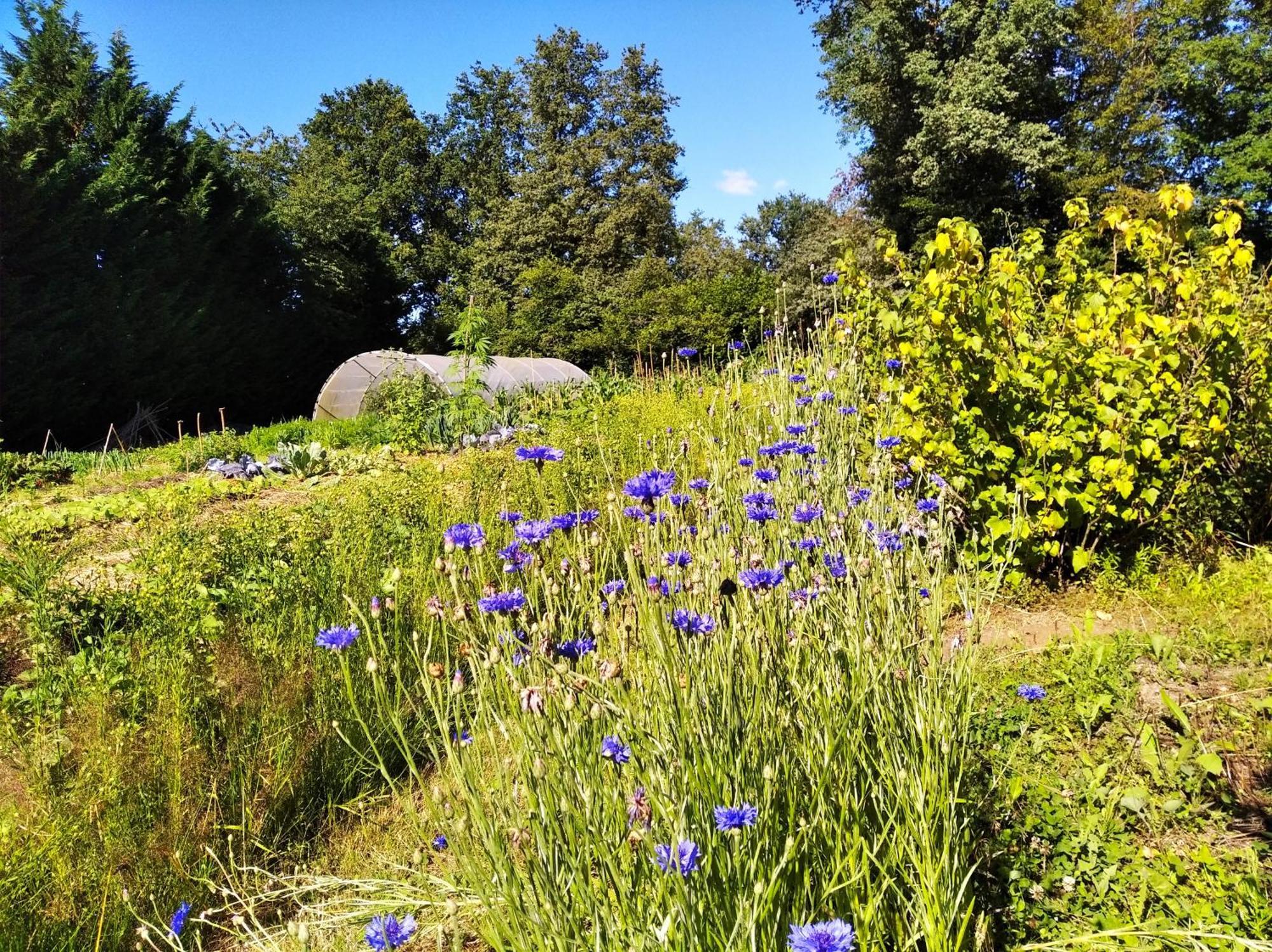 Tente Trappeur Ada, Au Jardin De La Vouivre Saint-Vincent-en-Bresse Esterno foto