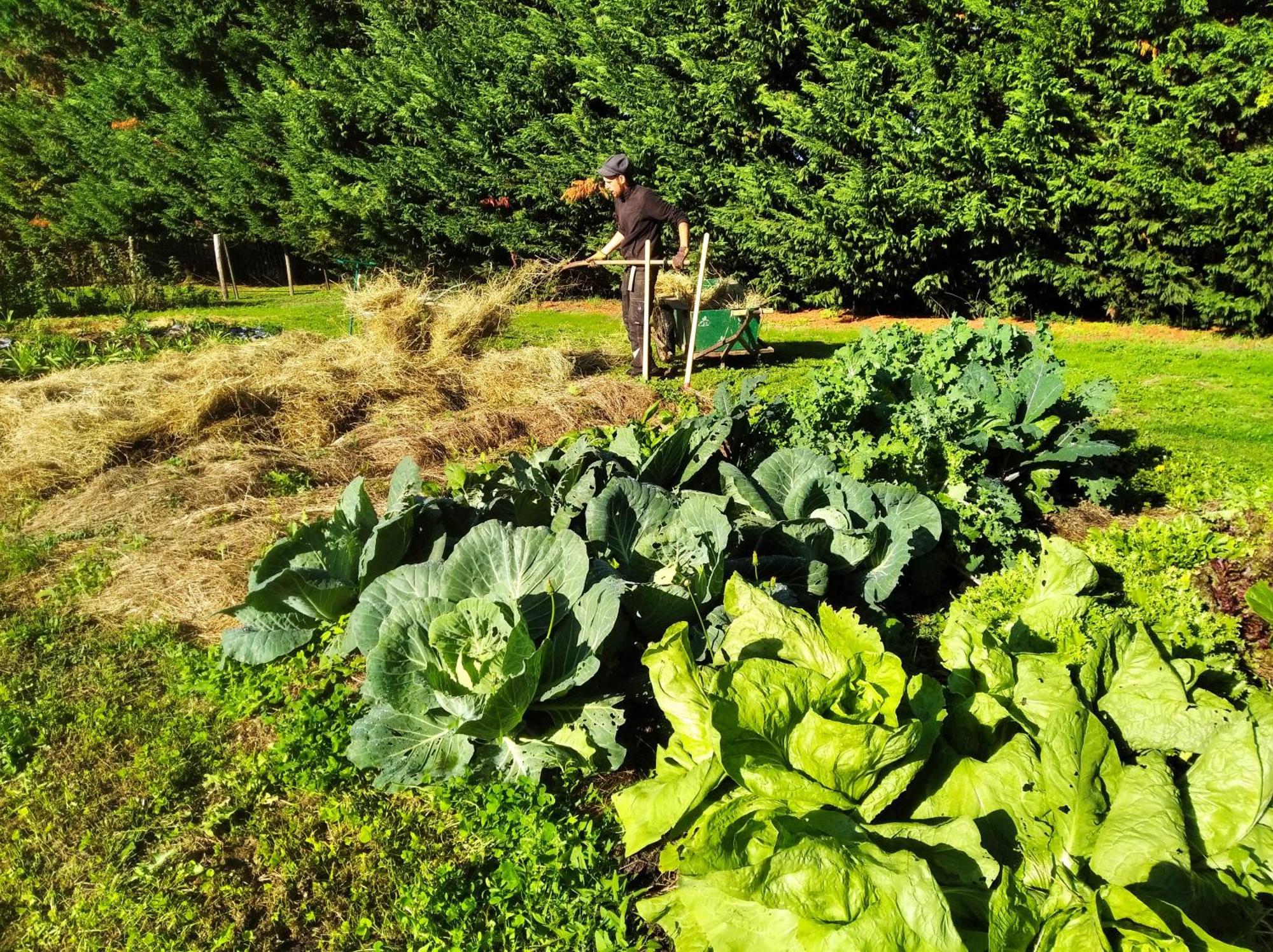 Tente Trappeur Ada, Au Jardin De La Vouivre Saint-Vincent-en-Bresse Esterno foto