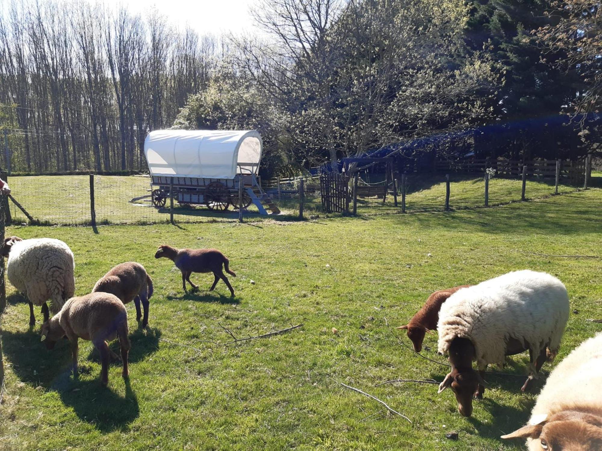Tente Trappeur Ada, Au Jardin De La Vouivre Saint-Vincent-en-Bresse Esterno foto