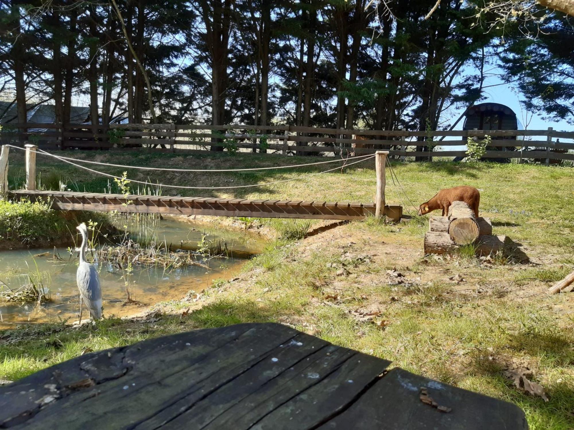 Tente Trappeur Ada, Au Jardin De La Vouivre Saint-Vincent-en-Bresse Esterno foto