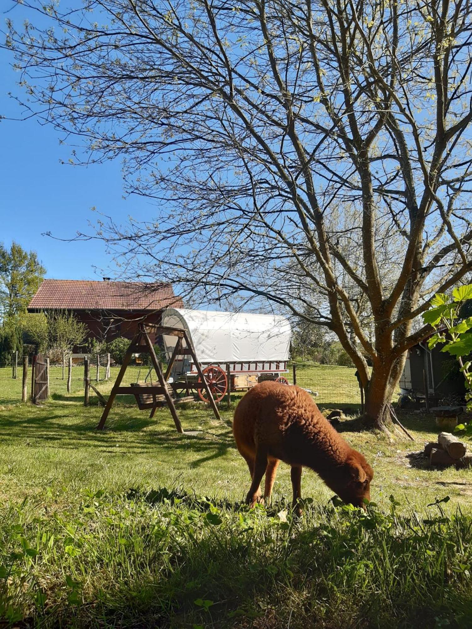 Tente Trappeur Ada, Au Jardin De La Vouivre Saint-Vincent-en-Bresse Esterno foto